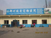 河南郑州牧专动物医院