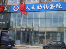 吉林长春孙大夫动物医院